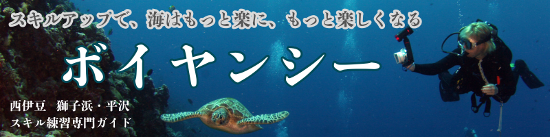 初・中級者練習専門ガイド『ボイヤンシー』
