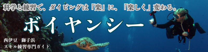 初・中級者練習専門ガイド『ボイヤンシー』